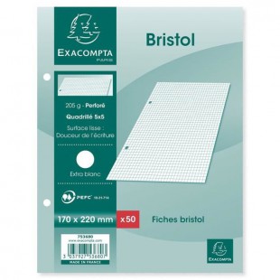 EXACOMPTA - 50 fiches Bristol blanches - 17 x 22 - Perforées - 5 x 5 - Papier P.E.F.C 205G