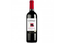Gato Negro San Pedro - Vin rouge du Chili