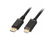 LINDY Câble DisplayPort vers HDMI 4K30 (DP:passif) - 1m