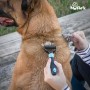 MY PET Démeloir coupe-noeuds Autum Brush - Pour animaux de compagnie