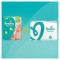 PAMPERS Baby Dry Taille 4+ - 9 a 18kg - 152 couches - Format pack 1 mois