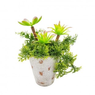 Plantes grasses dans un pot vieilli - H 22 cm