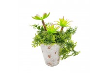 Plantes grasses dans un pot vieilli - H 22 cm