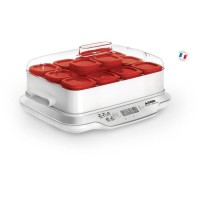 SEB YG661500 Yaourtiere Multidélices Express 12 pots rouges