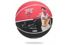 SPALDING Ballon Basket-ball NBA Player DERRICK ROSE BKT