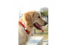 TECHNAXX Fittypet TX-46 Tracker d'activité connecté - Pour chien