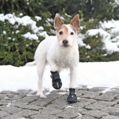 TRIXIE Bottes de protection Walker Active 2 pieces S-M - Noir - Pour chien