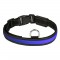 EYENIMAL RGB Collier lumineux - Taille S - Pour chien