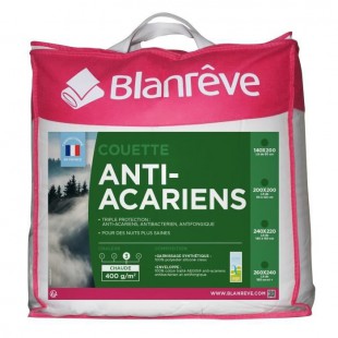 BLANREVE Couette chaude 400gm2 Anti-Acariens 200x200 cm blanc