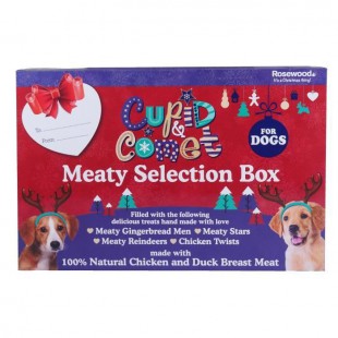 ROSEWOOD Boîte de Noël cadeau avec 4 friandises viande - Pour chien - 175 g