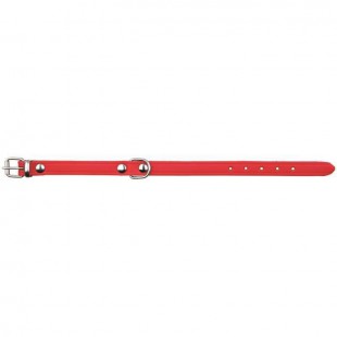TRIXIE Basic collier - M-L : 39-48cm / 22mm - Rouge - Pour chien