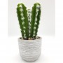 Cactus 3 branches dans son contenant en céramique - H 24 cm - Gris
