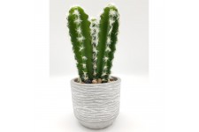 Cactus 3 branches dans son contenant en céramique - H 24 cm - Gris