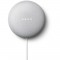 GOOGLE Nest Mini Enceintre intelligente Galet