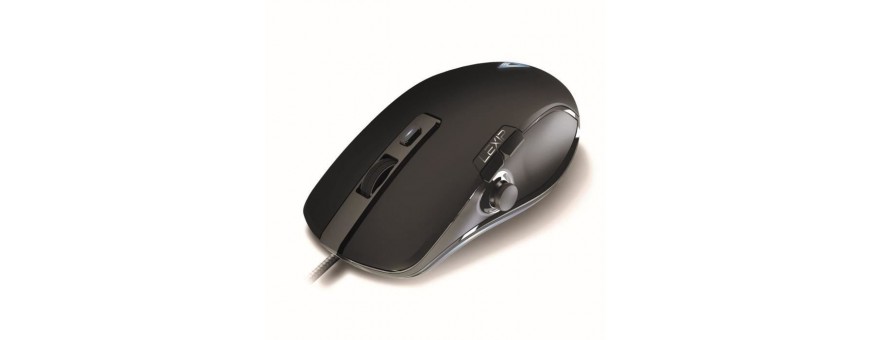 SOURIS