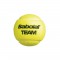 BABOLAT Balles de tennis Team X4 - Noir