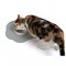 CAT IT Napperon en forme de fleur - Format moyen - Gris - Pour chat
