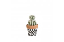 Mini Cactus double - En pot ethnique noir
