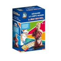 HELLO MAESTRO Buste anatomie - Découvre le corps humain