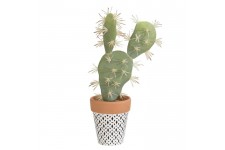 Cactus Plat - En pot ethnique noir
