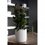 PLASTIKEN Pot de fleurs a réserve d'eau Hidrojardinera - Ø22 cm - Blanc