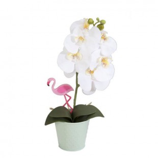 Orchidée blanche - En pot pastel vert d'eau