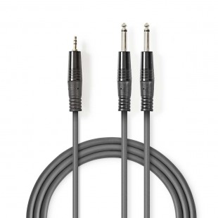 Câble Audio Stéréo | 2x 6,35 mm Mâles - 3,5 mm Mâle | 1,5 m | Gris