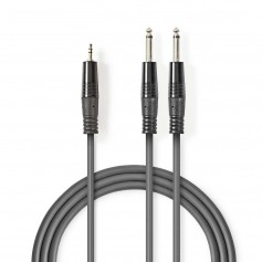 Câble Audio Stéréo | 2x 6,35 mm Mâles - 3,5 mm Mâle | 3,0 m | Gris