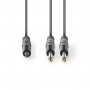 Câble Audio Stéréo | 2x 6,35 mm Mâles - 3,5 mm Mâle | 3,0 m | Gris
