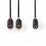 Câble Audio Stéréo | 2x RCA Mâles - 3,5 mm Femelle | 0,2 m | Anthracite