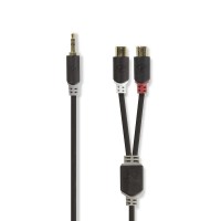 Câble Audio Stéréo | 3,5 mm Mâle - 2x RCA Femelles | 0,2 m | Anthracite