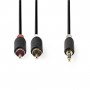 Câble Audio Stéréo | 3,5 mm Mâle - 2x RCA Mâles | 10 m | Anthracite