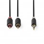 Câble Audio Stéréo | 3,5 mm Mâle - 2x RCA Mâles | 2,0 m | Anthracite