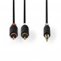 Câble Audio Stéréo | 3,5 mm Mâle - 2x RCA Mâles | 3,0 m | Anthracite