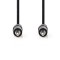Câble Audio Stéréo | 3,5 mm Mâle - 3,5 mm Mâle | 3,0 m | Noir
