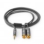 Câble Audio Stéréo | 3,5 mm Mâle vers 2x RCA Mâles | Gris Métal | Câble Tressé