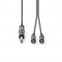 Câble Audio Stéréo | 6,35 mm Mâle - 2x RCA Mâles | 3,0 m | Gris