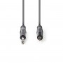 Câble Audio Stéréo | 6,35 mm Mâle - 3,5 mm Mâle | 3,0 m | Gris