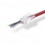 Connecteur Réseau Facile à Utiliser | RJ45 Mâle - Pour Câbles Uni Cat 5 UTP | 10 pièces | clair