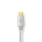 Câble Lightning Apple | Mâle 8 broches Apple Lightning vers USB-C | 1,00 m | Aluminium