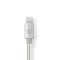 Câble Lightning Apple | Mâle 8 broches Apple Lightning vers USB-C | 1,00 m | Aluminium