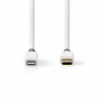 Câble Lightning Apple | Mâle à 8 broches Lightning Apple vers USB-C | 1,00 m | Blanc