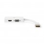 Câble Adaptateur Multi DisplayPort | DisplayPort Mâle vers VGA Femelle + DVI-D 24+1 Broches Femelle + Sortie HDMI 2.0 | 0,2 m | 