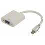 Câble Mini DisplayPort vers VGA Mini DisplayPort Mâle - VGA Femelle 0.20 m Blanc
