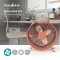 Lot de 4 : Ventilateur de Bureau Rétro | Diamètre 25 cm | 2 Vitesses | Rose Vintage