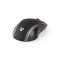 Souris sans fil | 1200 DPI | 3 boutons | Noir