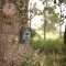 Caméra Camouflage Nature Haute Définition | 16 MP | Capteur CMOS 5 MP