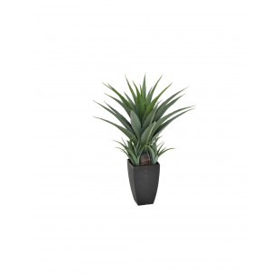 CATRAL Plante artificielle Agave - 73 cm