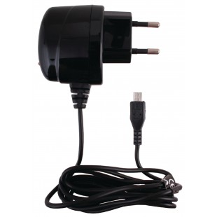 Chargeur 100-240V pour micro USB 1 A