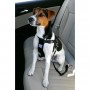 ZOLUX Harnais de sécurité avec attache pour véhicule M - Pour chien
